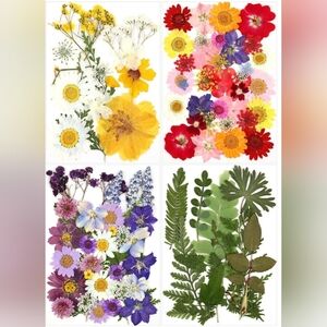 Dried Pressed Flowers For Craft, Real Natural Flowers And Leaves